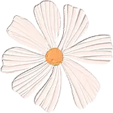 精研技巧备战中考,笃行不怠逐梦前行——临沂第十四中学举行“严谨答题,细致应考”数学专题讲座 第5张