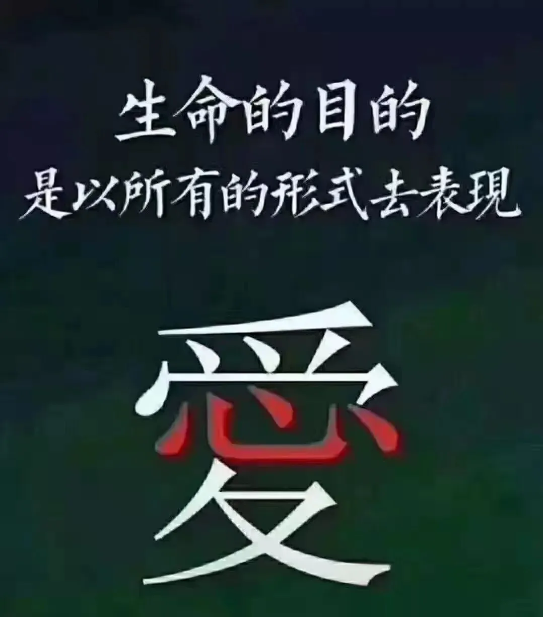 金华十校2026年4月高三模拟考试语文试题卷、参考答案及作文评分细则 第14张