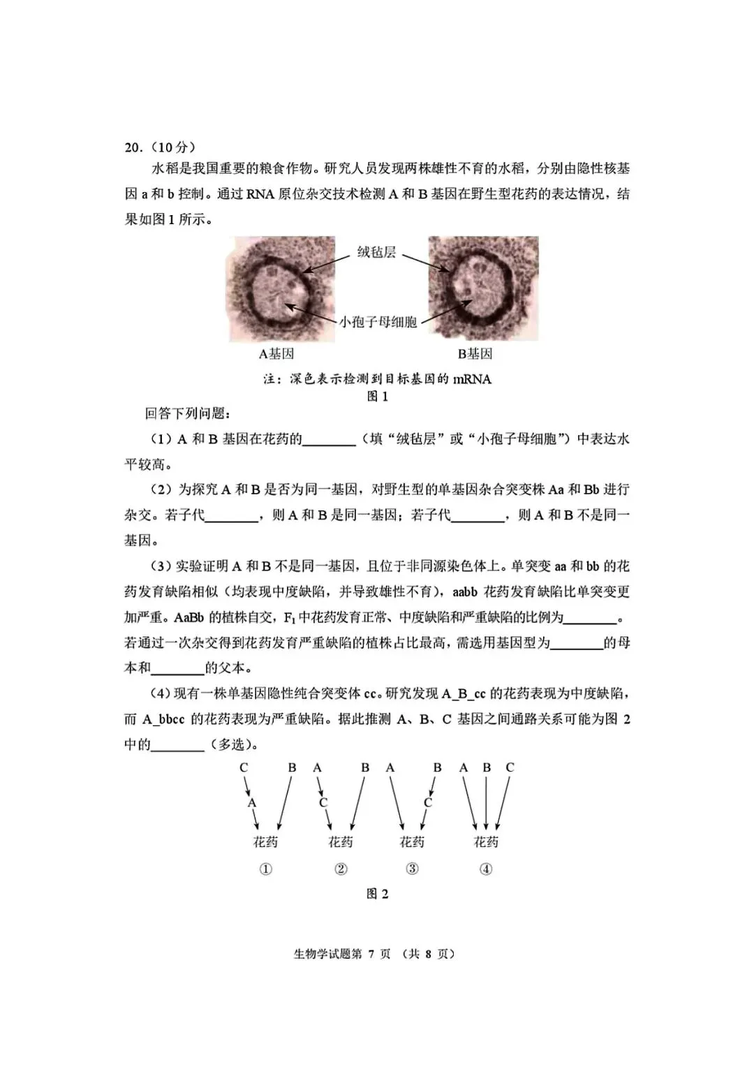 2026适应性考试生物试卷 第7张