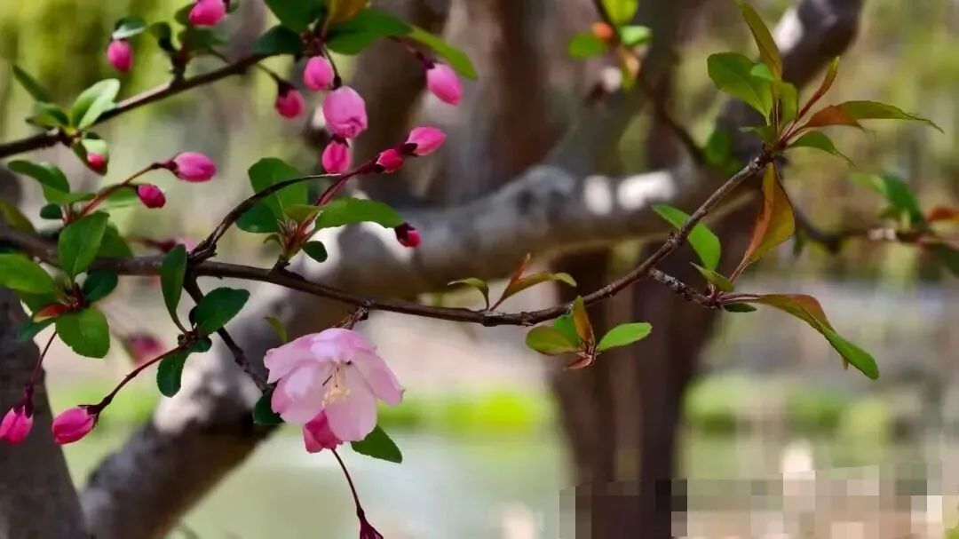 郑州中考考生必知:理化生实验最容易扣分的几个点 第1张