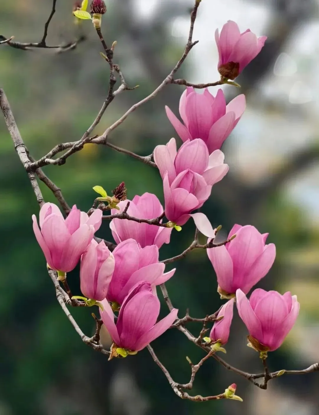 郑州中考考生必知:理化生实验最容易扣分的几个点 第2张