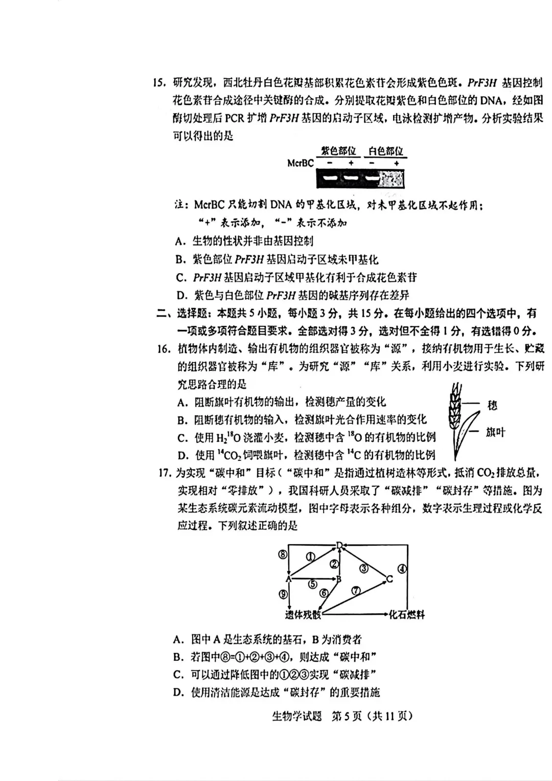 2025-2026长春二模生物试卷及答案 第7张