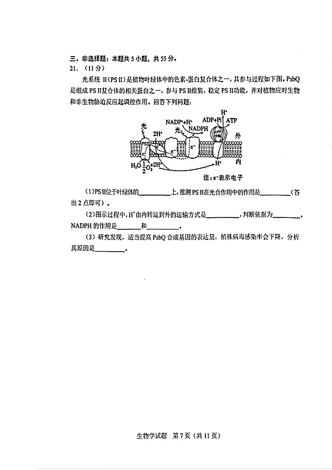 2025-2026长春二模生物试卷及答案 第9张