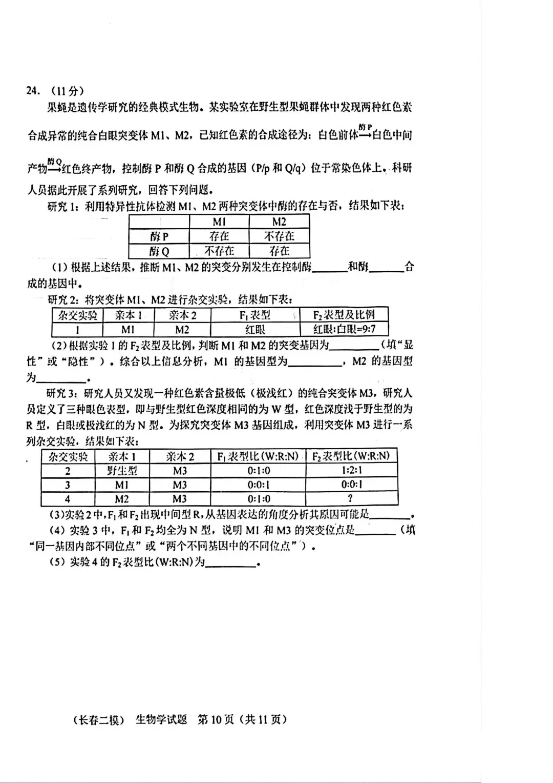 2025-2026长春二模生物试卷及答案 第12张