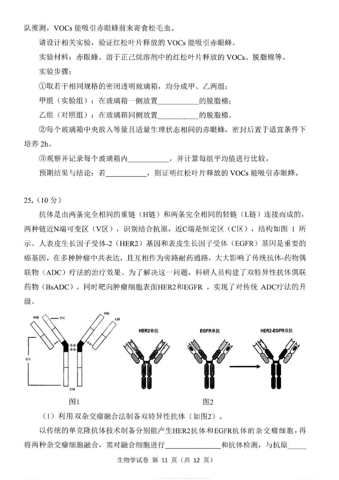 2026届东北三省三校高三第二次模拟考试生物学 第12张
