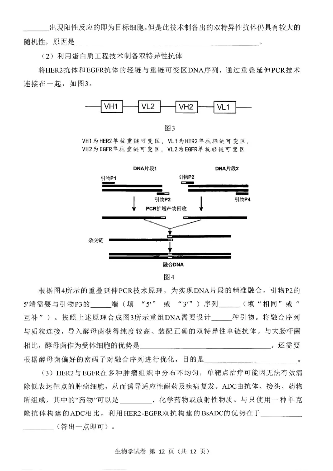 2026届东北三省三校高三第二次模拟考试生物学 第13张