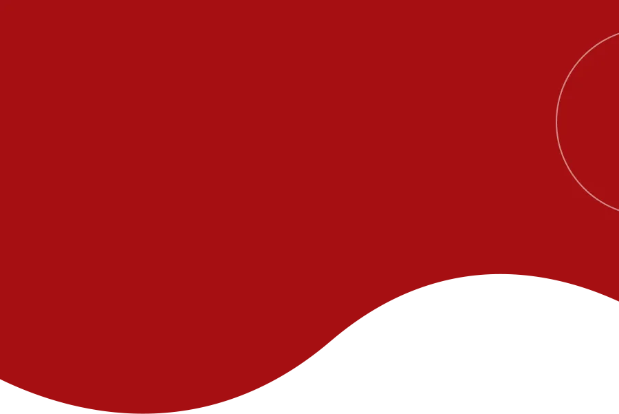 深耕课堂 助力中考——广西民族师范学院附属第二中学赴宁明县实验学校送教暨复习示范课经验分享活动圆满举行 第3张