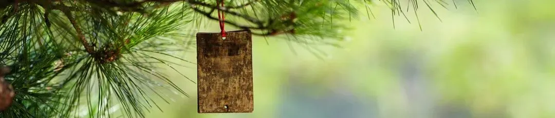 成都专属|近2年七下数学期中真题合集 第5张