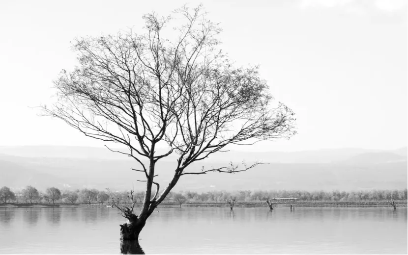 2026届上师大附中高三下学期阶段英语试卷含听力音频&听说 第1张 2026届上师大附中高三下学期阶段英语试卷含听力音频&听说 第1张