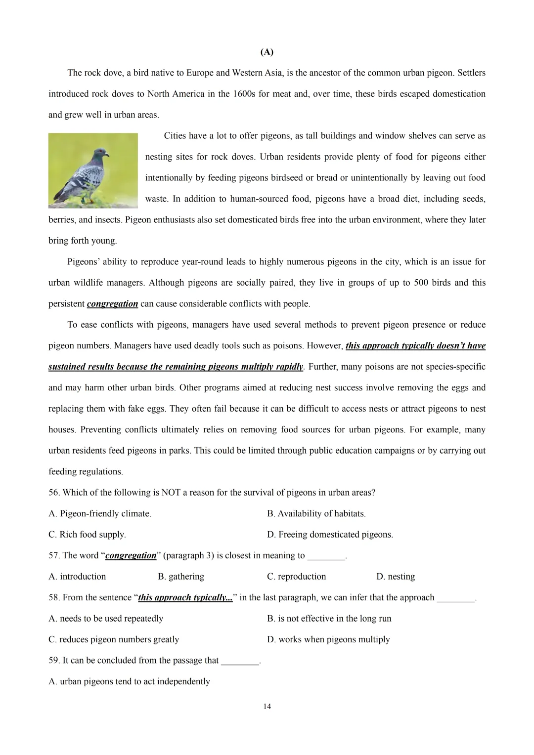 2026届上师大附中高三下学期阶段英语试卷含听力音频&听说 第16张 2026届上师大附中高三下学期阶段英语试卷含听力音频&听说 第16张