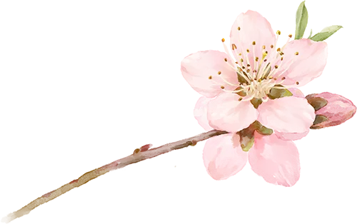 【总第67期】乌鲁木齐二模试卷研习系列——阅读II分析 第9张