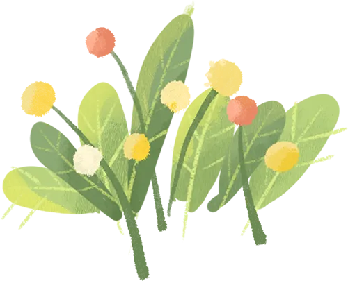 【总第67期】乌鲁木齐二模试卷研习系列——阅读II分析 第43张