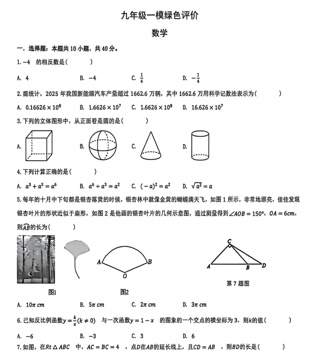 2026年42中一模试卷及参考答案 第2张
