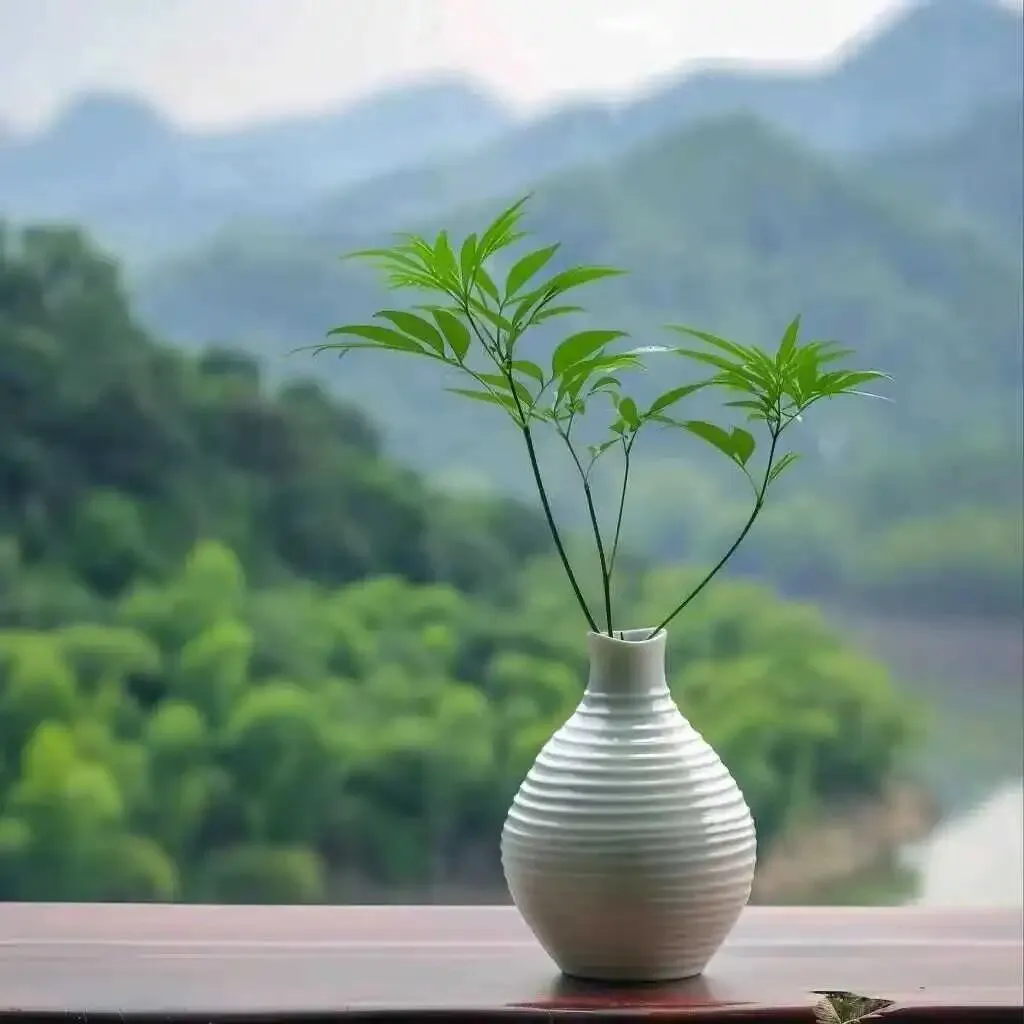 江淮名卷八年级下学期数学期中试卷和答案 第5张