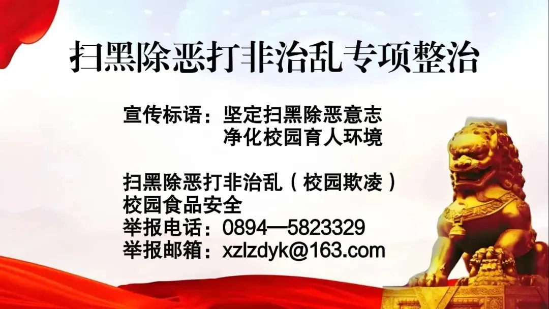 精析模考数据 靶向突破瓶颈——林芝市广东实验中学2026年高三年级第一次成绩分析 第5张