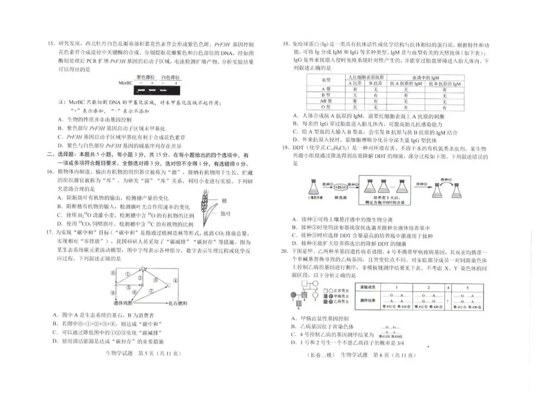2026年4月长春市二模生物试卷及答案 第4张