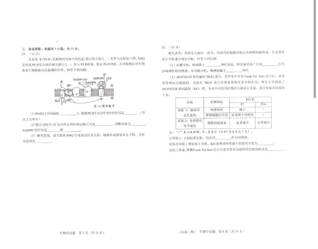2026年4月长春市二模生物试卷及答案 第5张
