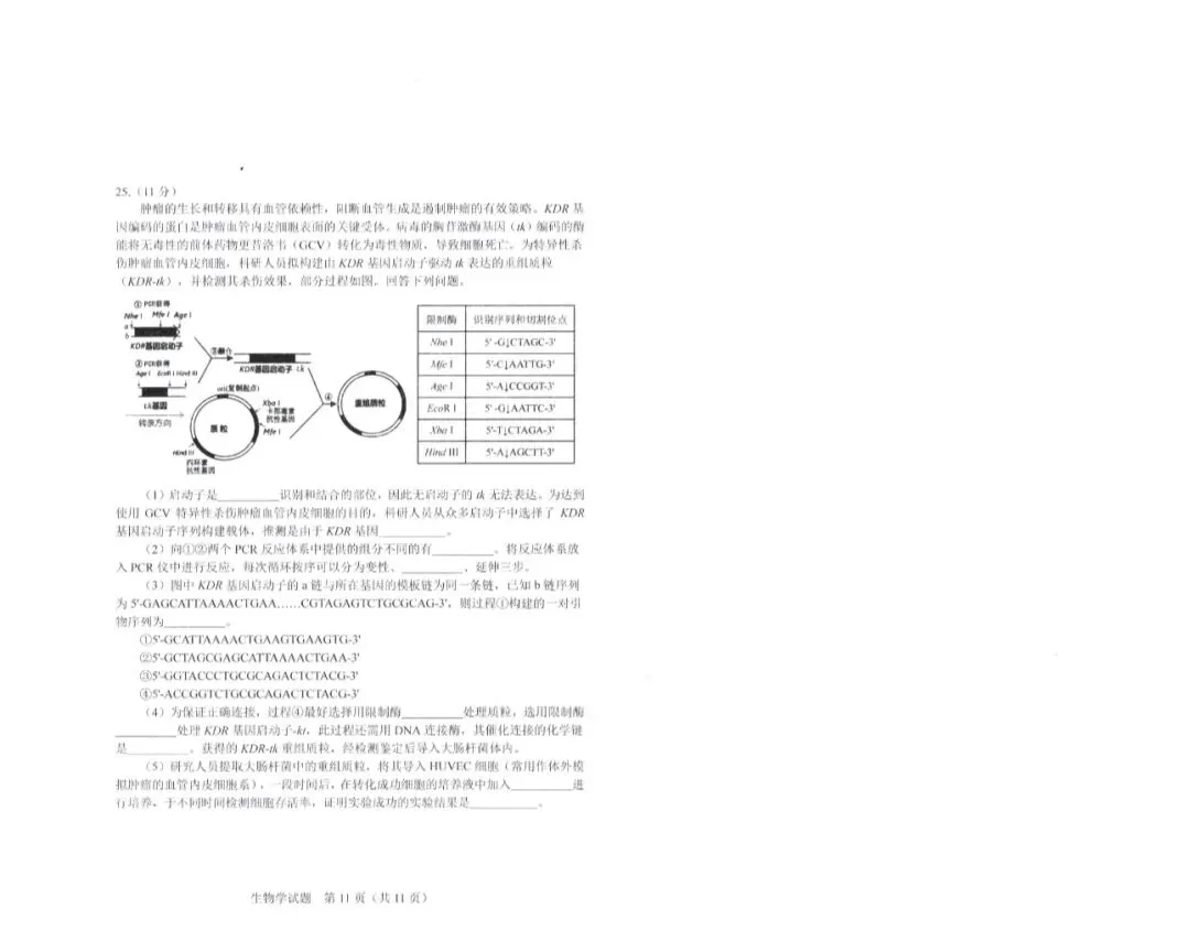 2026年4月长春市二模生物试卷及答案 第7张