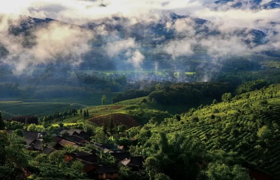 中考语文备考作文——民俗类合集 第6张