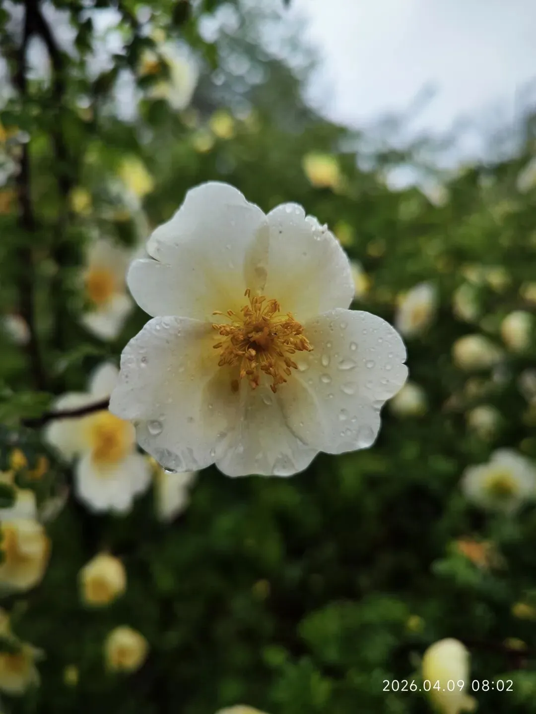 中考倒计时第72天 第1张