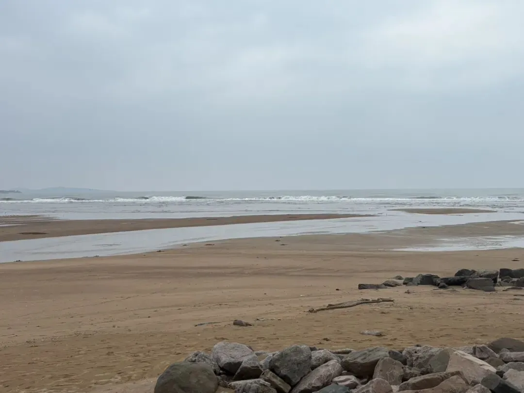 女儿中考倒计时70天—青岛出差,看海喝啤酒吃gala 第1张