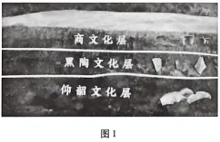 铜陵市2026年普通高中高三模拟考试历史试题 第1张