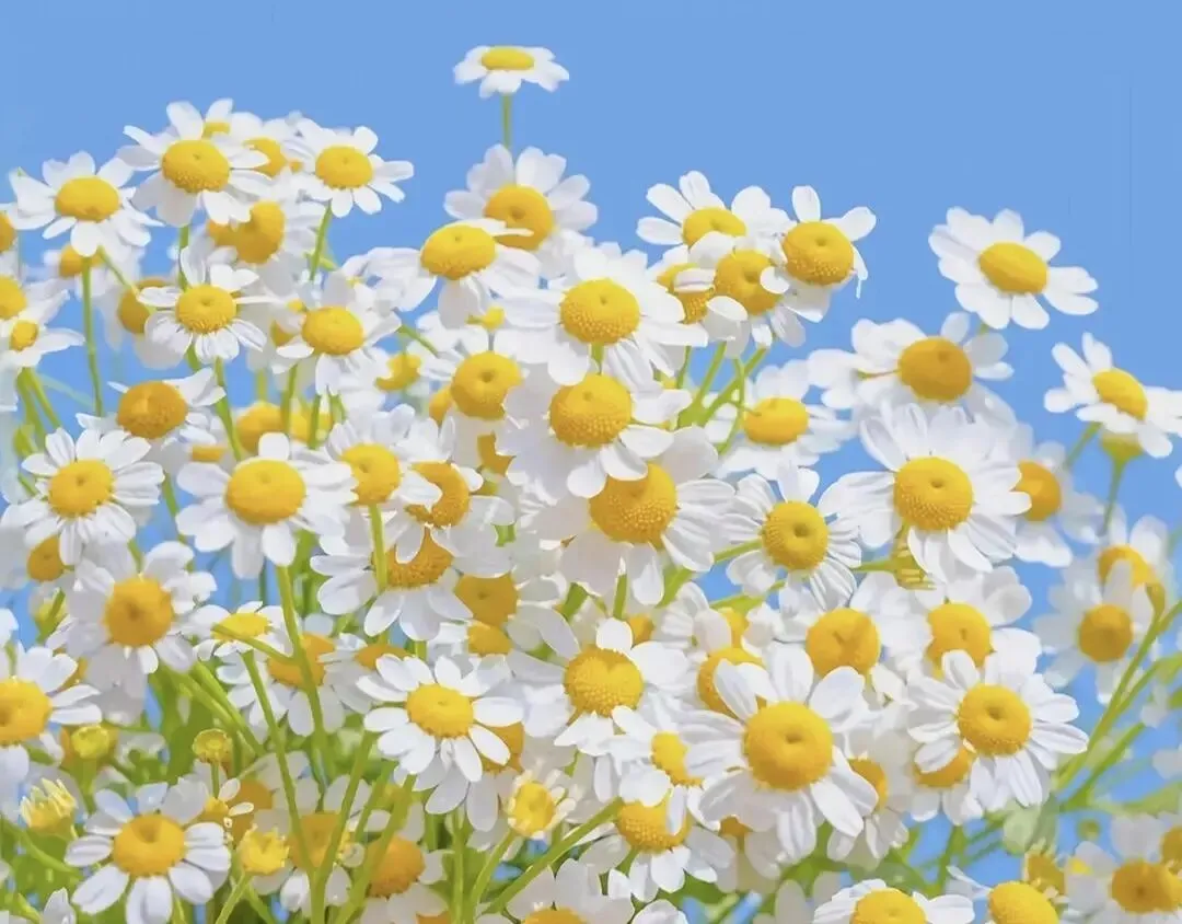 中考倒计时68天:数学周测69分 第1张 中考倒计时68天:数学周测69分 第1张