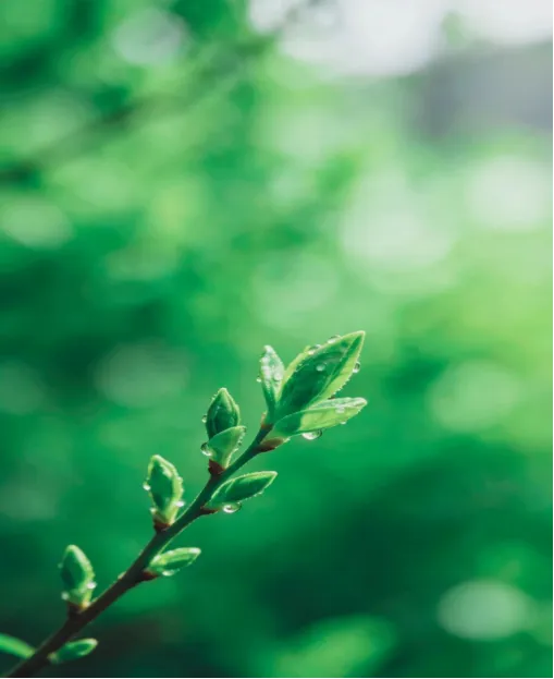 2026江西中考作文风向题九:《______里的赣鄱味》 第1张