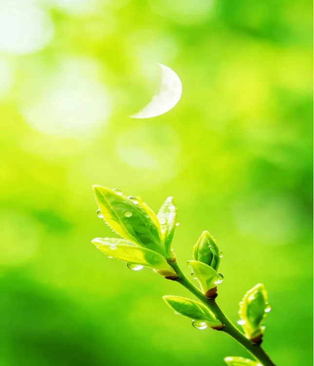 2026江西中考作文风向题九:《______里的赣鄱味》 第2张