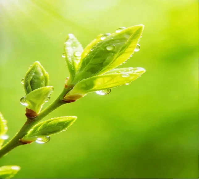 2026江西中考作文风向题九:《______里的赣鄱味》 第3张