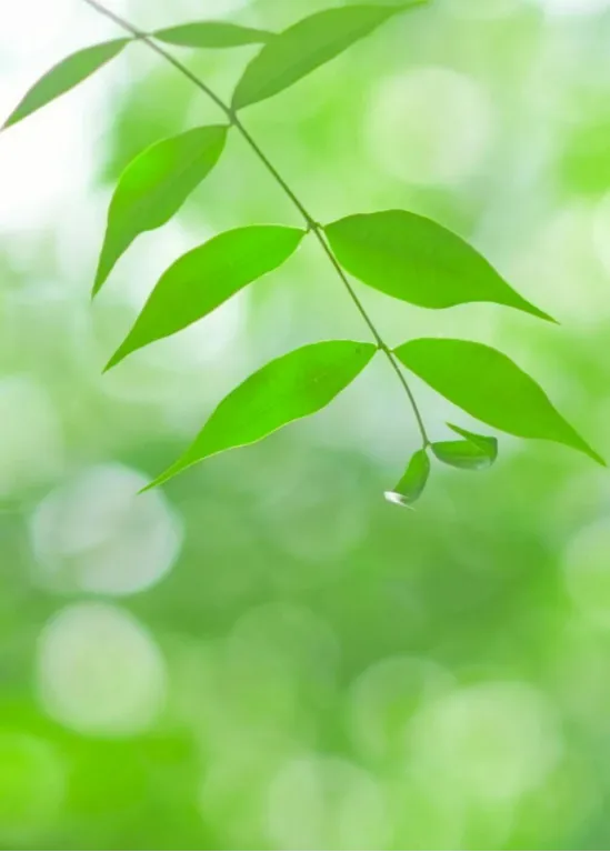 2026江西中考作文风向题九:《______里的赣鄱味》 第4张