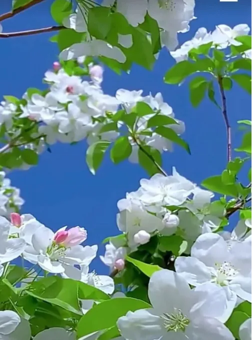 2026江西中考作文风向题九:《______里的赣鄱味》 第5张