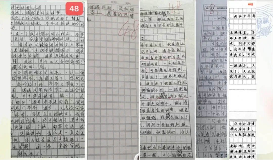 新中考读写稳赢:2027年新初三暑假语文备考计划 第5张