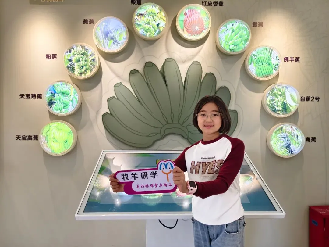 【中考假期六天五夜研学】厦门少年行 第29张