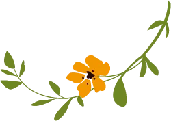 【中考假期六天五夜研学】厦门少年行 第49张