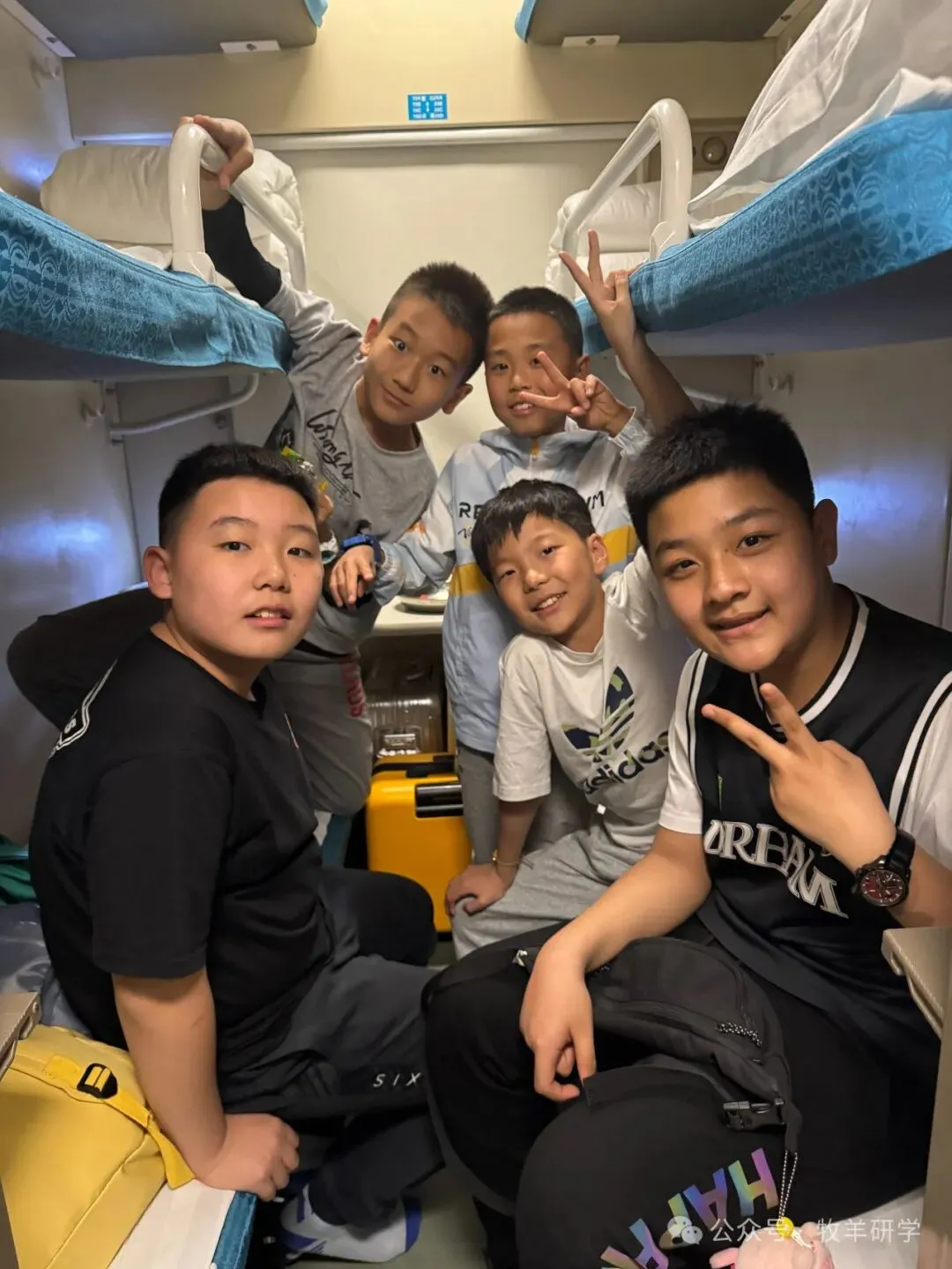 【中考假期五天四夜研学】天津少年行 第37张 【中考假期五天四夜研学】天津少年行 第37张