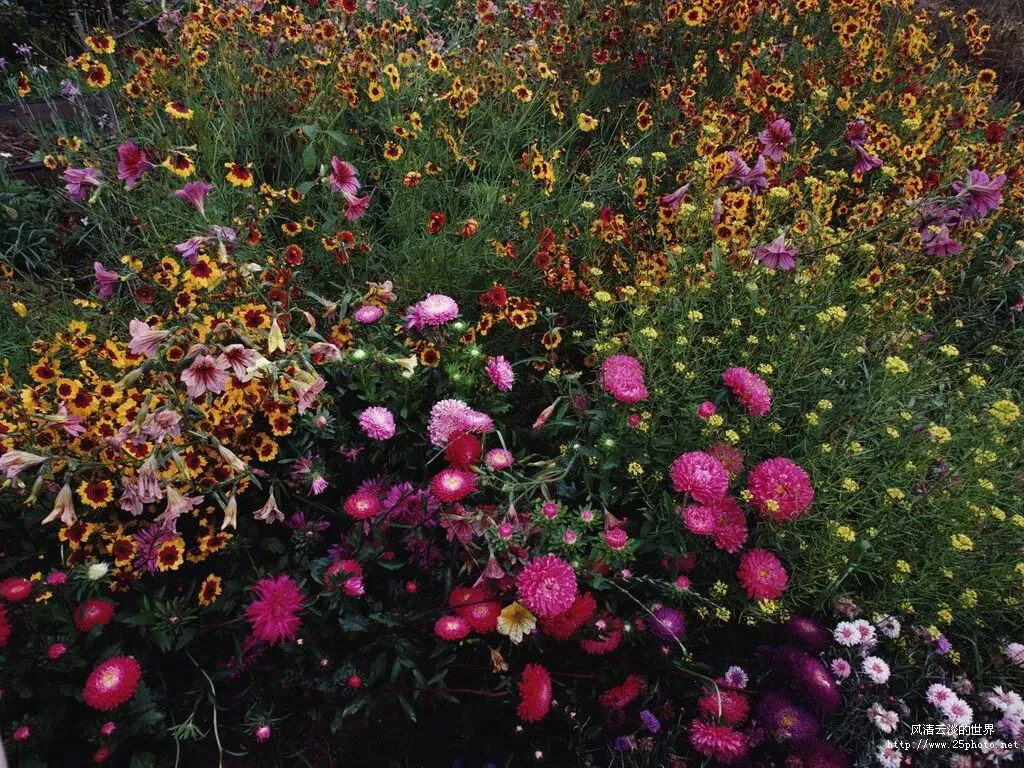 《红星照耀中国》中考语文名著阅读要点梳理与练习 原卷版 第2张 《红星照耀中国》中考语文名著阅读要点梳理与练习 原卷版 第2张