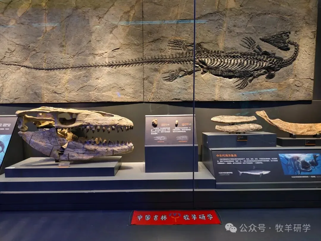 【中考假期五天四夜研学】天津少年行 第76张 【中考假期五天四夜研学】天津少年行 第76张