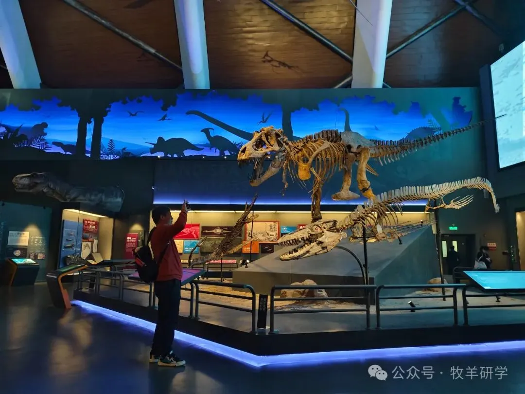 【中考假期五天四夜研学】天津少年行 第78张 【中考假期五天四夜研学】天津少年行 第78张