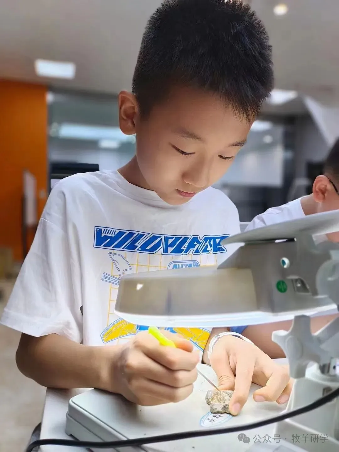 【中考假期五天四夜研学】天津少年行 第80张 【中考假期五天四夜研学】天津少年行 第80张