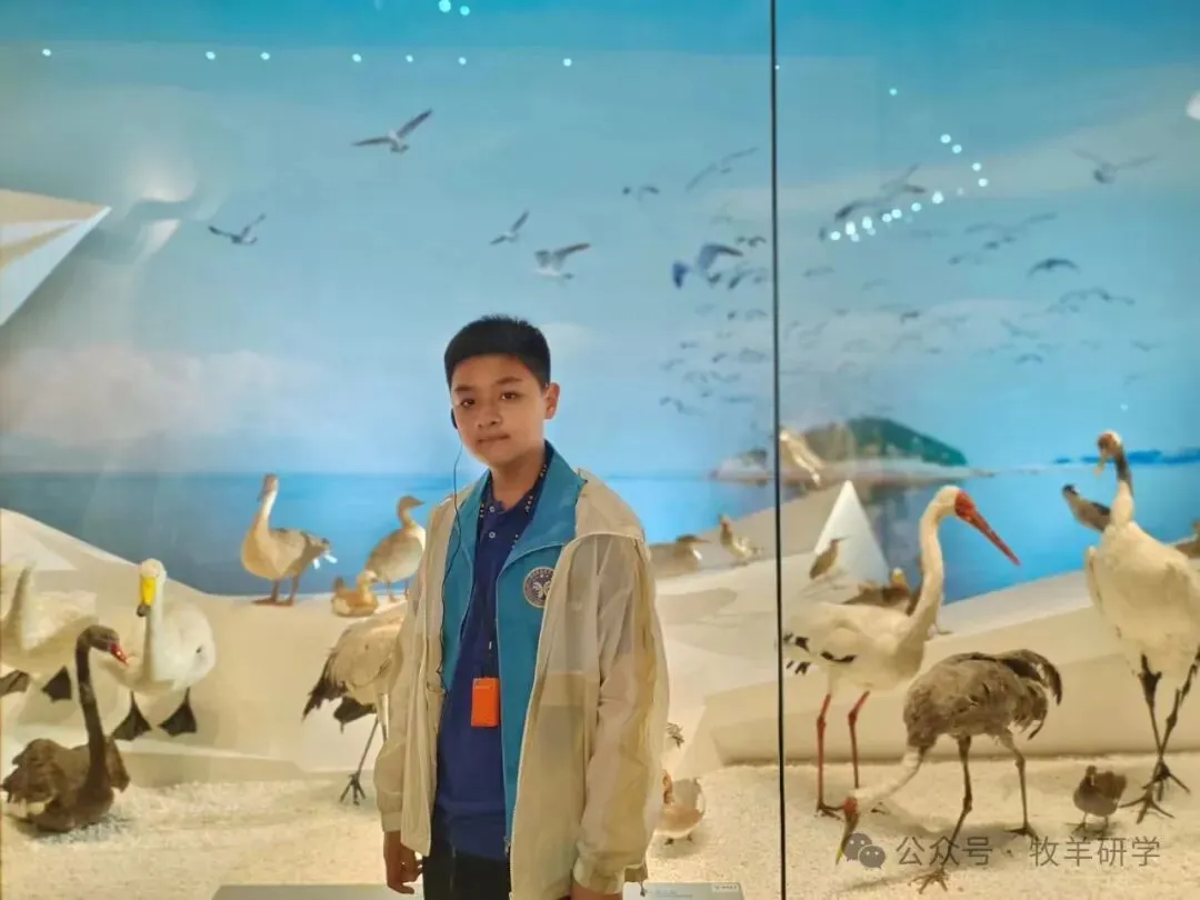 【中考假期五天四夜研学】天津少年行 第79张 【中考假期五天四夜研学】天津少年行 第79张