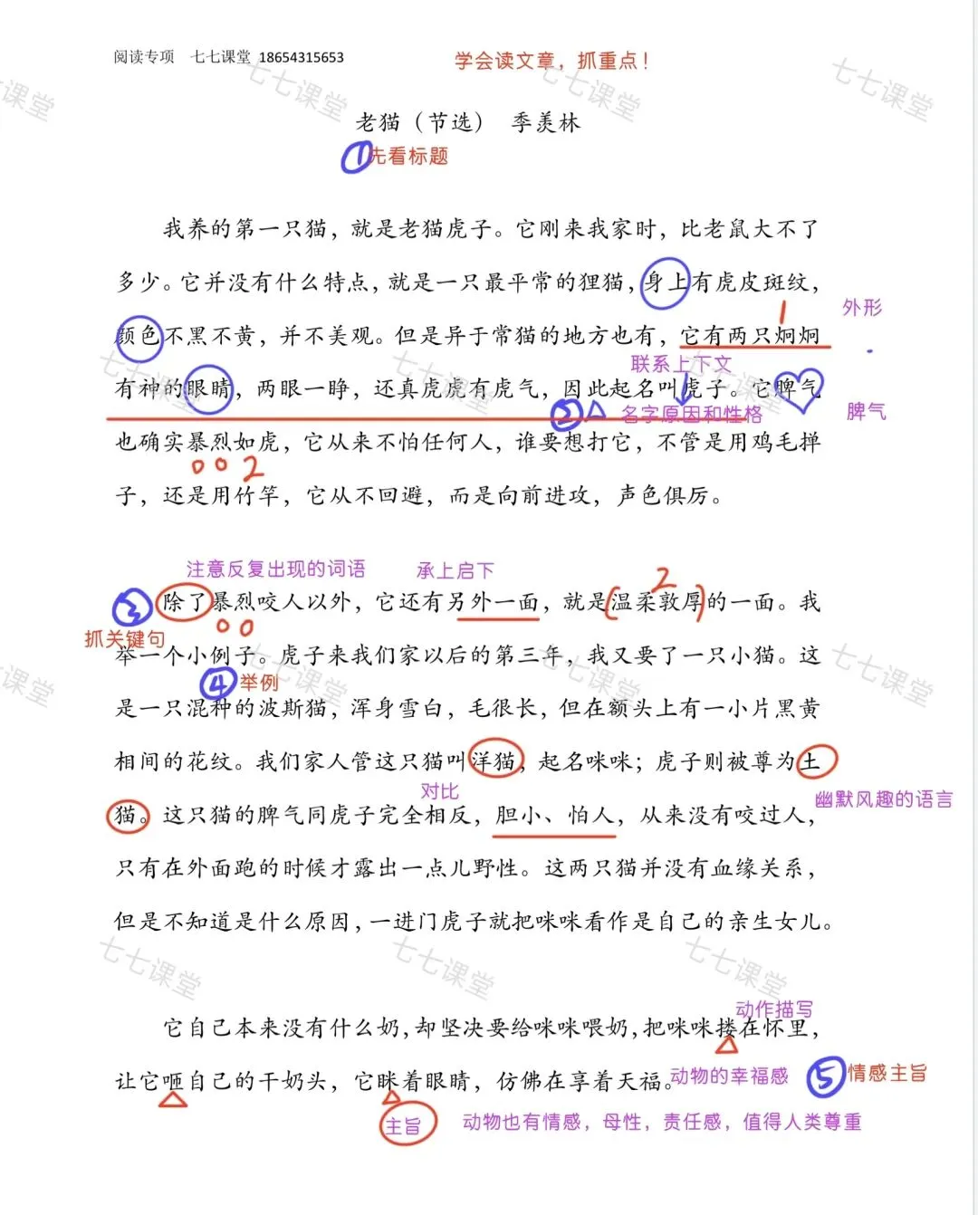 阅读真题 精读批注讲解(1) 第1张