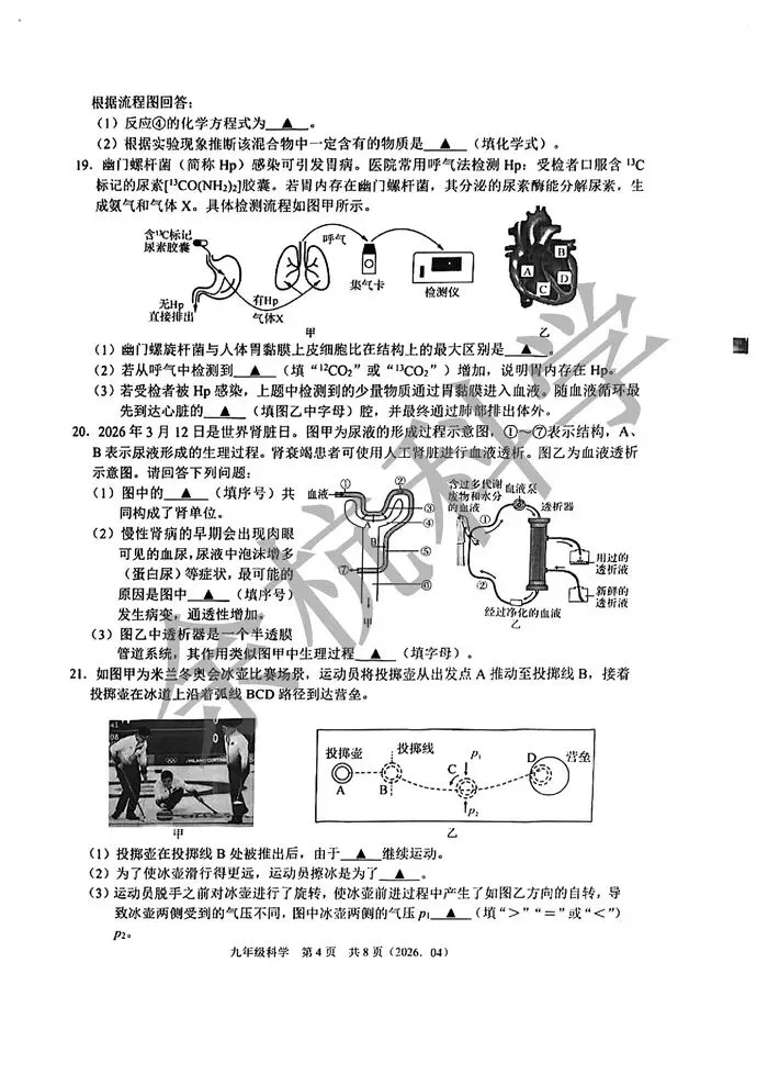 【中考模拟】2026年4月浙江省杭州市临平区杭二树兰九年级科学模拟卷 第9张