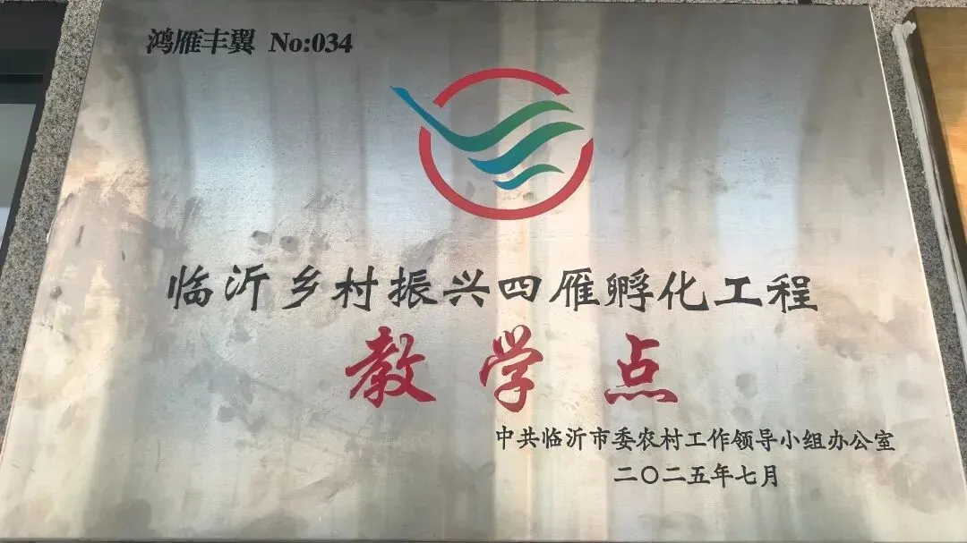 职言直语丨中考二三百分?别慌!这个“飞”起来的专业,可能是孩子最好的出路 第3张