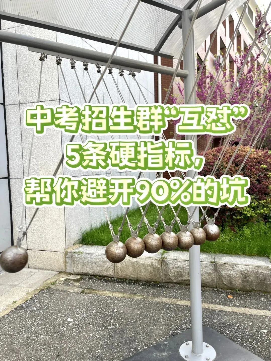 中考招生群“互怼”:5条硬指标,帮你避开90%的坑 第1张