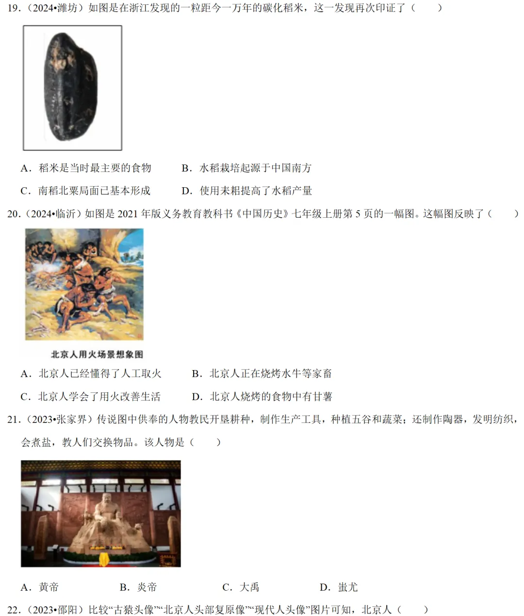 2026中考历史备考全国真题大全丨20个专题真题+答案+解析+点评,考前冲刺复习一站式刷完 第46张