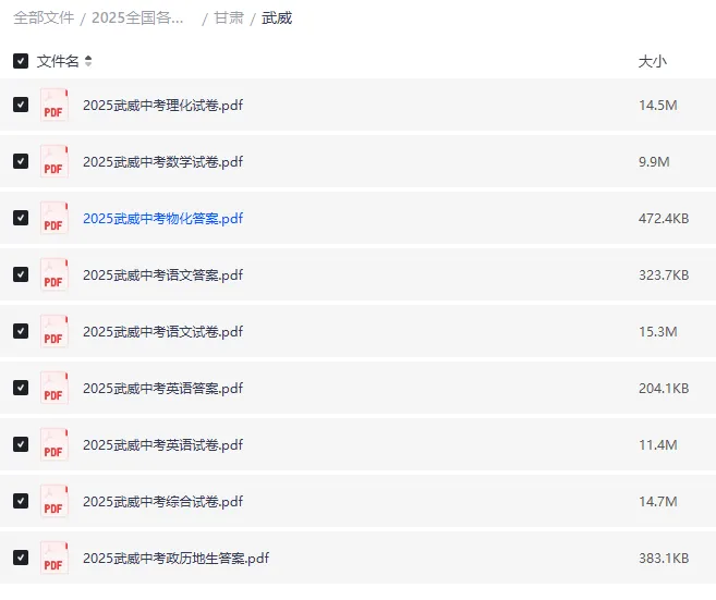 2025甘肃中考真题|全科含解析|高清下载(白银市,武威市,庆阳市) 第4张 2025甘肃中考真题|全科含解析|高清下载(白银市,武威市,庆阳市) 第4张