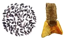 2026年中考历史一模模拟卷02(考试版A4) 第3张