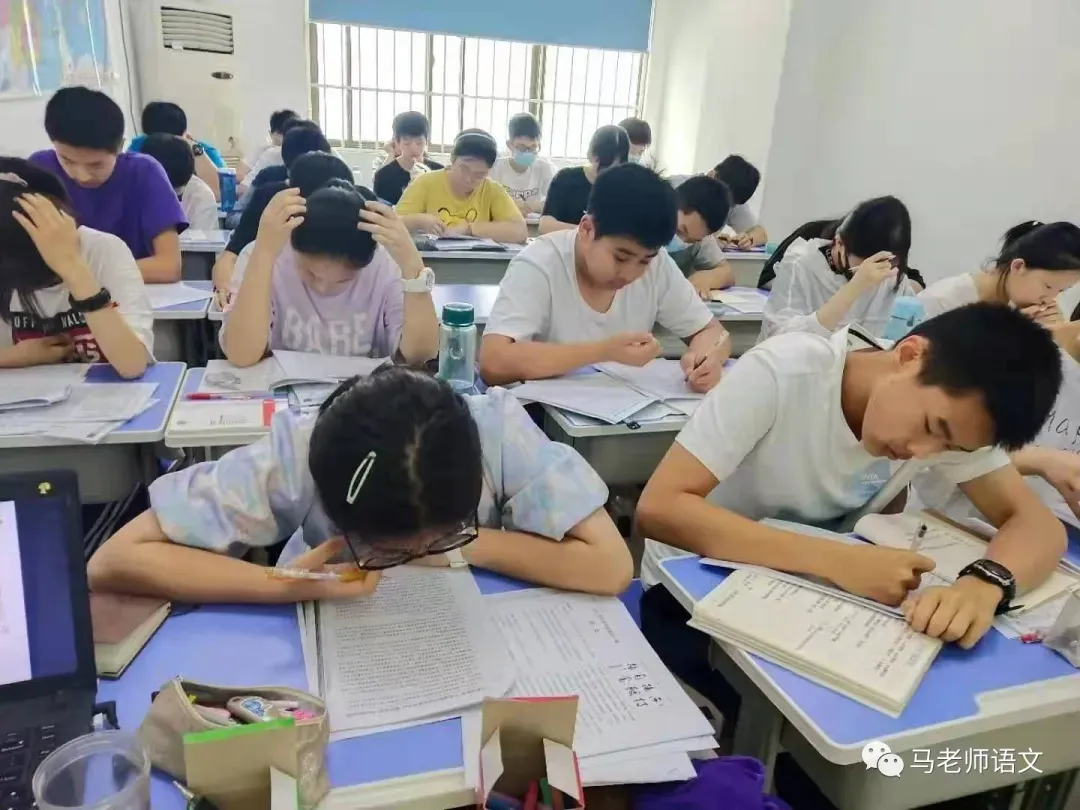 2026中考语文串讲押题讲座开始报名.... 第11张 2026中考语文串讲押题讲座开始报名.... 第11张