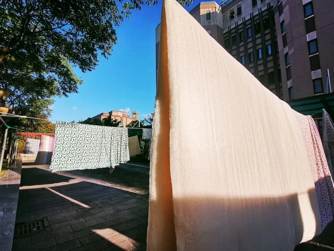 早安,宿城丨事关体育中考!最新提醒 第12张 早安,宿城丨事关体育中考!最新提醒 第12张